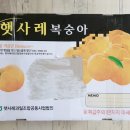 철호농장 네이버블로그