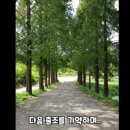 용천농장 이미지