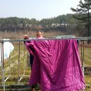 수부3리마을회관 Daum카페