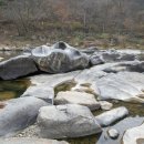 장군목 유원지 이미지