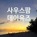 보홀 사우스팜 데이유즈 후기 | BBC 레스토랑 점심 스노클링 노을