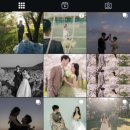 wedding 03. 강릉 온기스냅 계약 후기 (야외웨딩스냅)