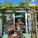 숨고름민박 이미지