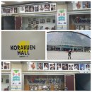 국제체육관 신림점,신촌점,도봉점,미아점,방학점, 무에타이,MMA,주짓수,종합격투기 선수모집,다이어트복싱,뮤직복싱 이미지