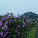 (주)신도시조경