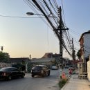 나홀로 치앙마이 4 (코코넛쉘, 타패게이트, 블루누들, 바트커피, 딥디바인더, 쿤캐쥬스바, Coffee...
