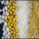 장수자농장 이미지