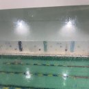 엄궁스포츠센터 | 부산 엄궁 스포츠센터 수영장 후기 주말 이용요금과 거리별 운동 루틴