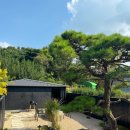 여주현 : 동천_감성숙소펜션 이미지