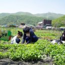 성주면사무소 이미지