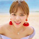 빼꼼낼름 이미지