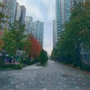 평택무지개약국 이미지