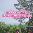 6월 캠프장에서 찍은 웃기는 쇼츠 영상 이미지