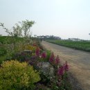 야생화단지내 이미지