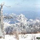 (주)태백산 이미지
