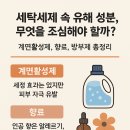 세탁세제 속 유해 성분, 무엇을 조심해야 할까? – 계면활성제, 향료, 방부제 총정리
