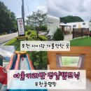 경기 포천 여울카라반 포천글램핑, 아이와 함께 즐긴 당일 캠프닉 후기!
