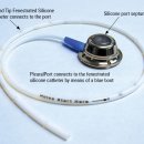 24시 코끼리동물의료센터 이미지