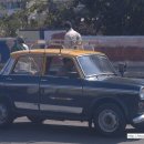 시영세탁소 이미지