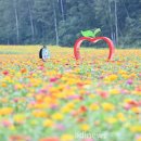 산소카폐 청송정원 (1) 이미지