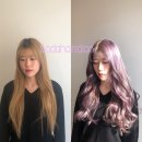 올리비아살롱