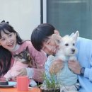 만나2 이미지