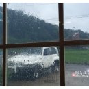 실안장어촌 이미지