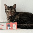 (주)리스펫 이미지