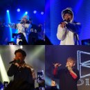 라이브레드 이미지