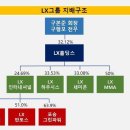 반도체, LX그룹 주력사업 되나 ②그룹 미래 책임질 계열사 부재...매그나칩반도체 베팅 가능성 이미지