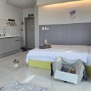 헬로4000 이미지