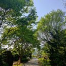 (주)성요셉목수학교 | 제천 배론성지