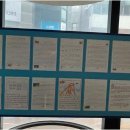 러닝와이즈영어교습소 | 초등영어 실력, 마포초등파닉스로 자기주도학습 시작하는 러닝와이즈의 특별한 비결