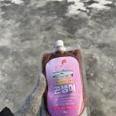 화랑길 | 안성빙어축제 2번째 방문 후기 빙어 잘 잡는 꿀팁. 잡고 빙어튀김까지! 빙어잡이 고수 만난 썰..