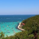 파타야 - 포항시 북구 장량로158번길 5-8 | 파타야