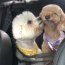 어서타개 이미지