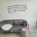 초코네 애견샵 이미지