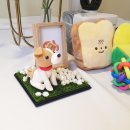 기억할개 이미지