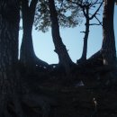 학동 펜션 이미지