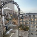 비담집 | 내돈내산 청주 비담집 방문후기 및 비용