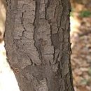 가시나무공원 이미지