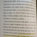 책 좋아하시는 분들 오세요 오직 그녀의 것 날씨가 좋으면 찾아가겠어요 로맨스는 별책부록 후기