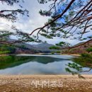 법기수원지: 숨겨진 보석, 울창한 숲 속 에메랄드 호수 이미지
