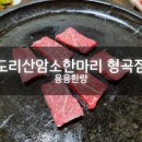 도리산암소한마리 이미지