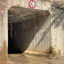 지오 파인트리 이미지