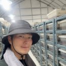 [정부기관납품]강원도농산물원종장 곤충산업센터에 흰점박이꽃무지 유충 먹이용 굼프로 발효톱밥 납품한...