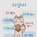 멜라흐 이미지