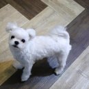 힐링하러와