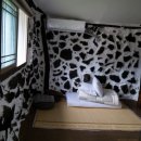 폭낭 올레집 이미지