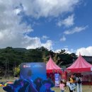 CU김천점 | 2025 김천 김밥축제 찐 리얼 후기 및 꿀팁 공유
